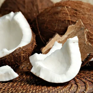 coconut-maharajswholesalers.co.za