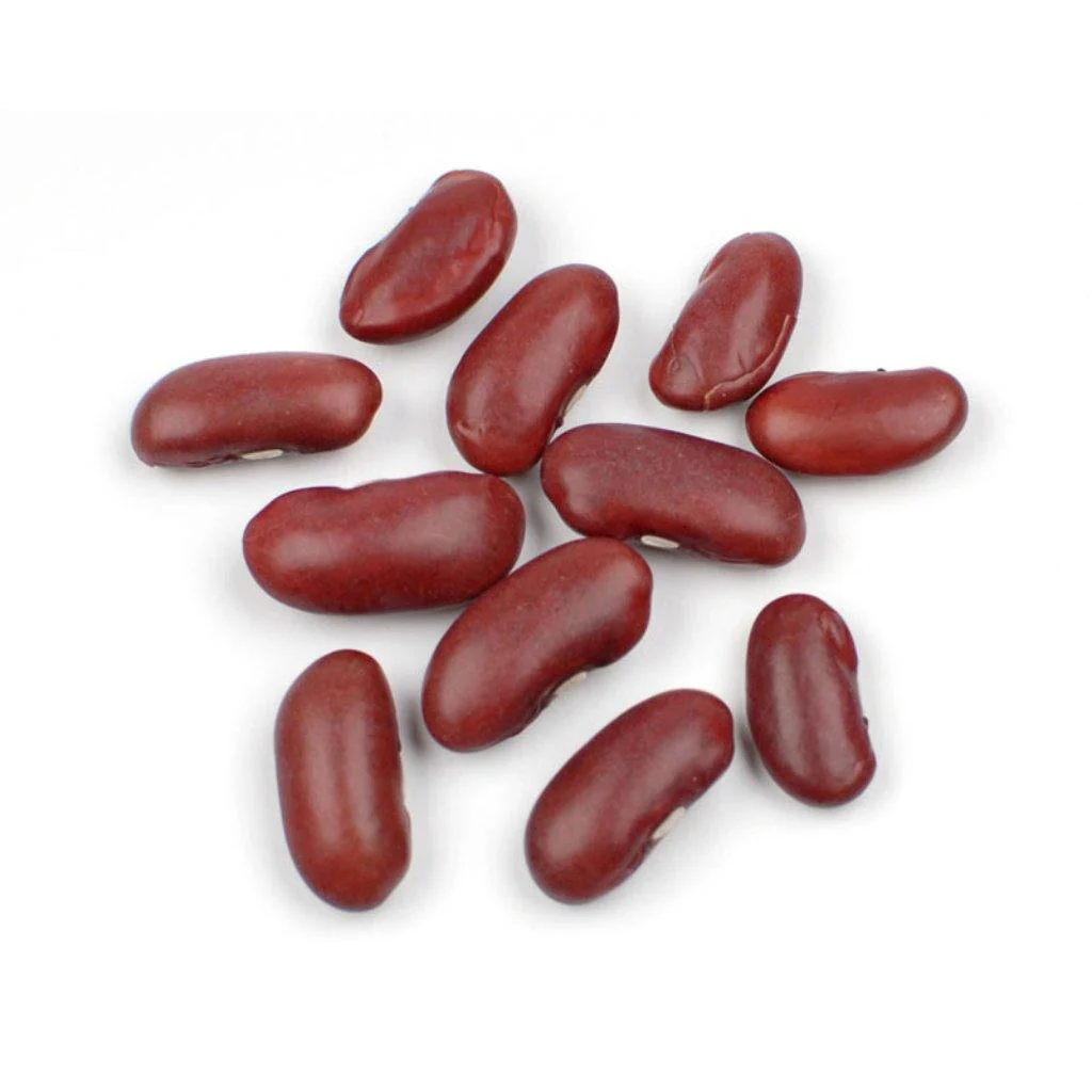 red-beans-maharajswholesalers.co.za