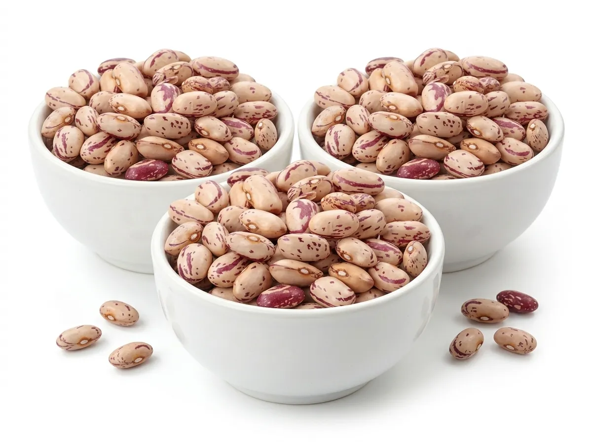 sugar-beans-maharajswholesalers.co.za